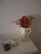 Top Vilallonga de Ter