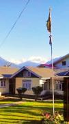 Top Pelling