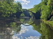 Ferienwohnung Grüner Fürst zentrale ruhige Lage im Innenhof