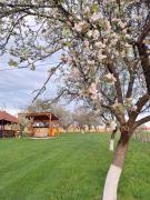 Top Valea Drăganului