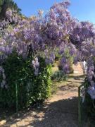 Top Passignano sul Trasimeno