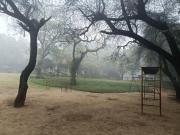 Top New Delhi