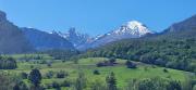 Top Carreña de Cabrales