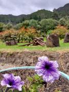 Top Estación El Salto