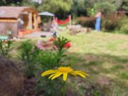 Top Estación El Salto