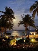 Top Playa del Carmen