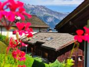 Top Saint-Gervais-les-Bains