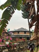 Top Pokhara