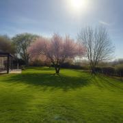 Quiet and good location apt