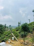 Top Vālpārai