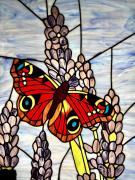 Top Łódź Top Łódź