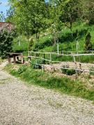 Top Sighetu Marmaţiei