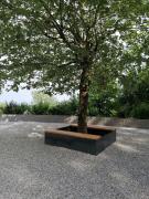 Ferienwohnung Schuhmann Therme Aquapulco Ikuna Erlebnispark Zoo Schmiding 20 min mit Auto entfernt mit Wintergarten und Garten ab 3 Nächte buchbar