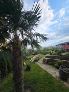 Top Struga