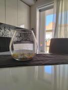 Top Quartu SantʼElena