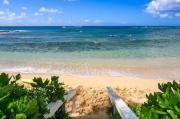Top Koloa