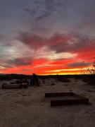 Top Twentynine Palms