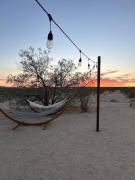 Top Twentynine Palms