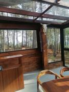 Beautiful cabin in the middle of the forest