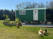 Toms Hut and Robins Rest Shepherd Huts near Wadebridge