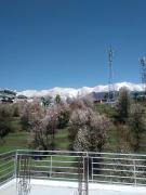 Tranquil trails home stay naddi