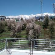 Top Dharamshala