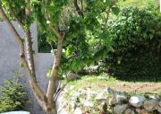 Top Herceg-Novi