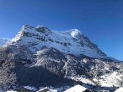 Top Grindelwald