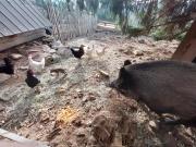 Top Kašperské Hory