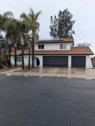 Top Clovis