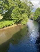 Top Egremont Top Egremont