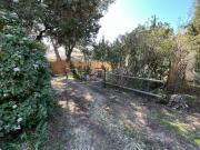 Mazet en Provence Mazet en Provence