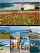 Top Pléven Top Pléven