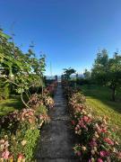 Top Struga