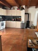 Top Králíky Top Králíky