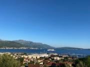 Top Kravlja