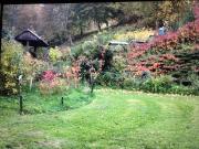 Top Pleśna Top Pleśna