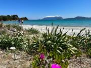 Monolocale a due passi dal mare Monolocale a due passi dal mare