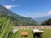 Top Penone Top Penone