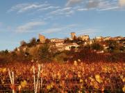 Gîte de lOursonnière