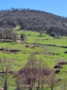Top Grenier-Montgon