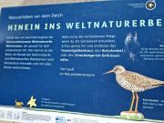 Top Sankt Peter-Ording