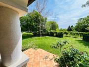 Top Badacsonytördemic