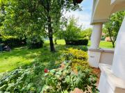 Top Badacsonytördemic