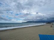 Top Savona