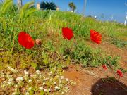 Top Carpignano Salentino