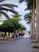 Top Puerto de la Cruz