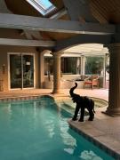 Top Mesves-sur-Loire