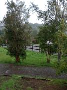 Top Puerto Montt Top Puerto Montt