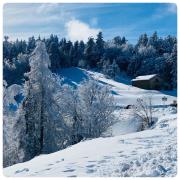 Top Notre-Dame-de-la-Rouvière